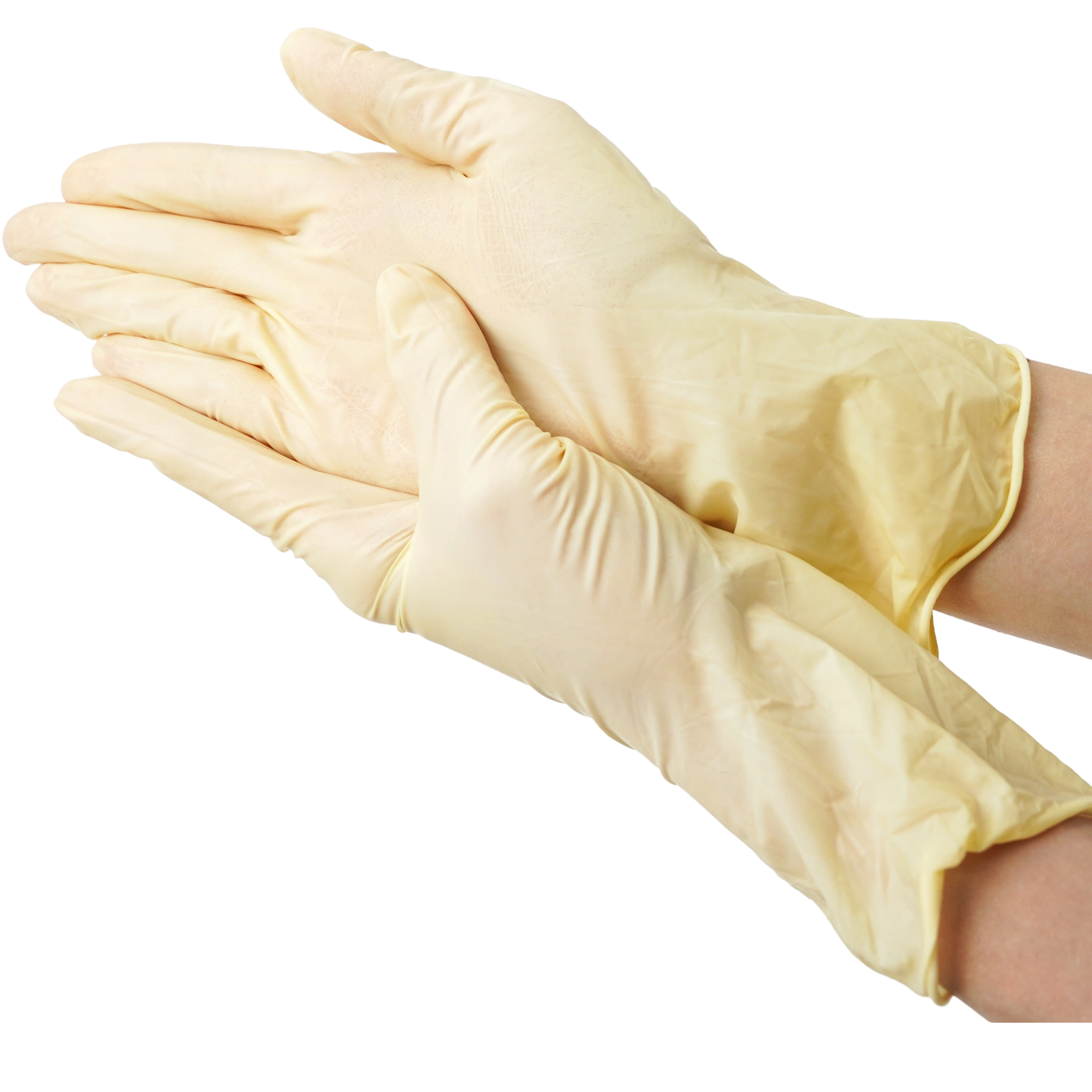 クリーンルーム用ラテックス手袋 12インチ 使い捨て保護手袋
