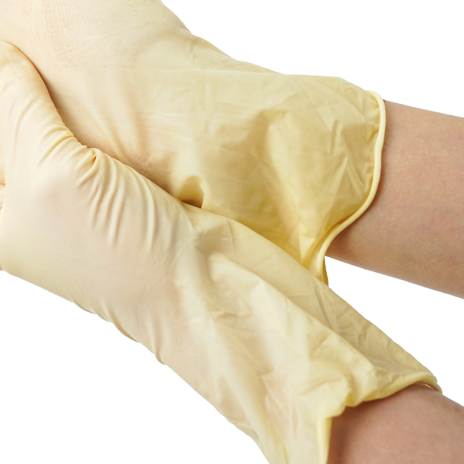 クリーンルーム用ラテックス手袋 12インチ 使い捨て保護手袋